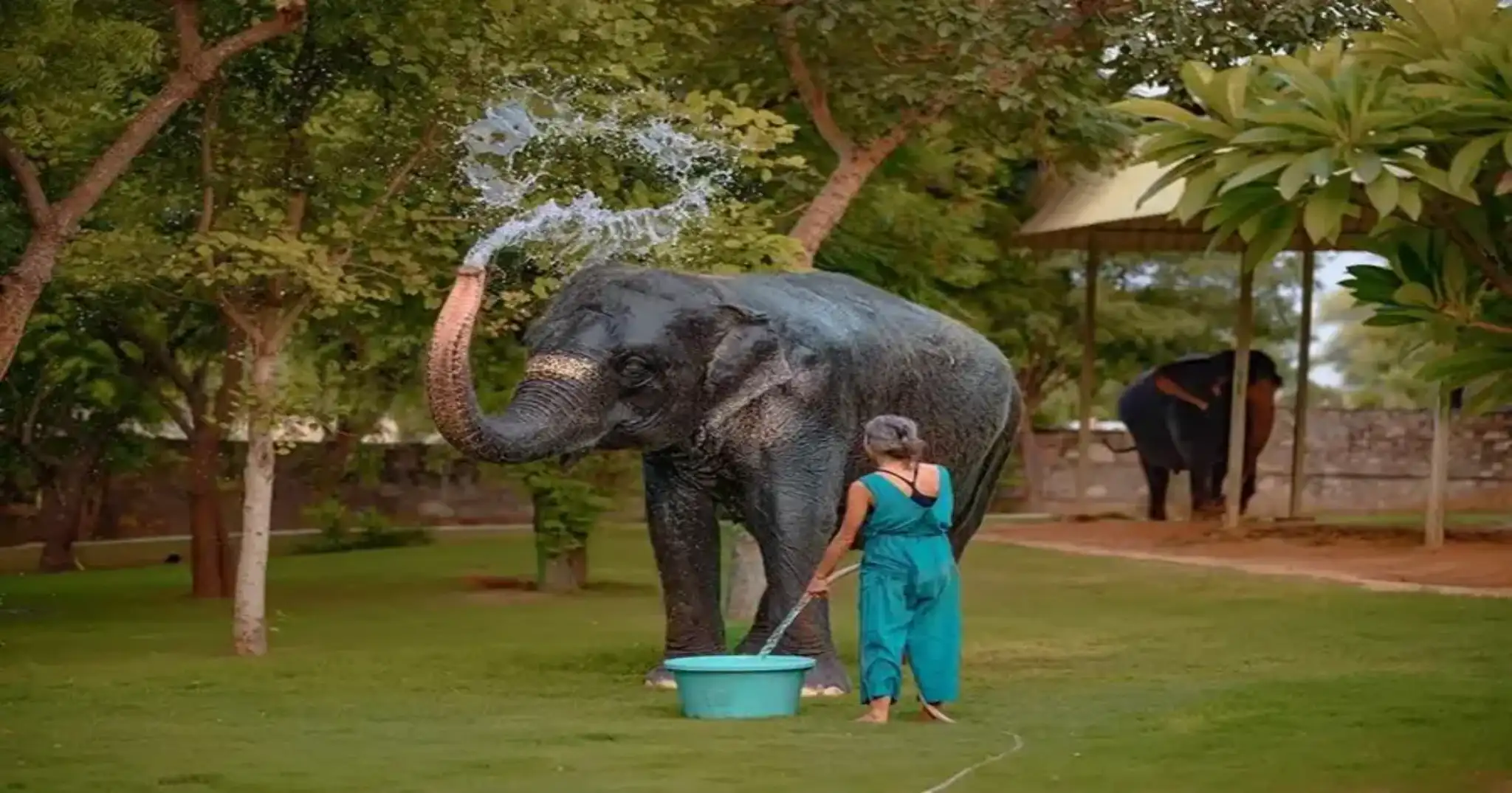 Bathing & Pool Acticity